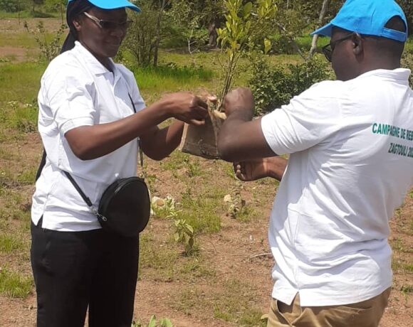 L&rsquo;APRN et la SONABEL Plantent Plus de 770 Arbres à Koudougou