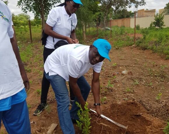 L&rsquo;APRN et la SONABEL Plantent Plus de 770 Arbres à Koudougou
