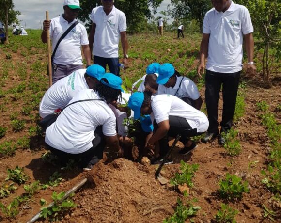 L&rsquo;APRN et la SONABEL Plantent Plus de 770 Arbres à Koudougou