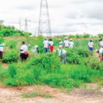 Présentation du projet de reboisement pour le compte des projets Yeleen & PDEC