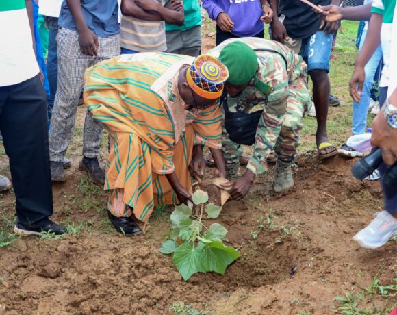 L&rsquo;APRN et la SONABEL Plantent Plus de 770 Arbres à Koudougou