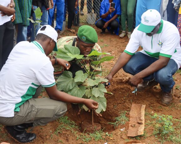 L&rsquo;APRN et la SONABEL Plantent Plus de 770 Arbres à Koudougou