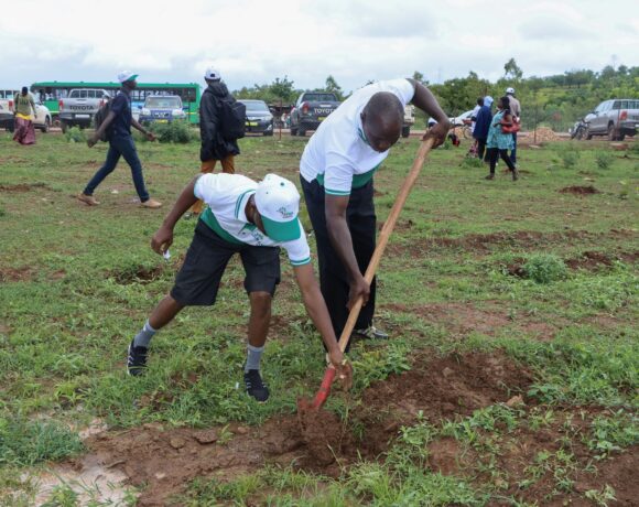 L&rsquo;APRN et la SONABEL Plantent Plus de 770 Arbres à Koudougou