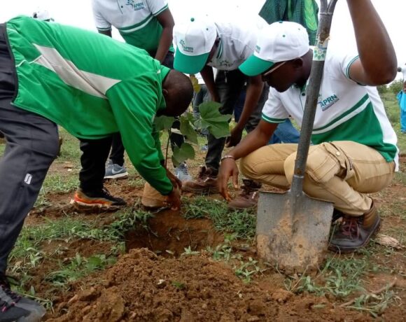 L&rsquo;APRN et la SONABEL Plantent Plus de 770 Arbres à Koudougou