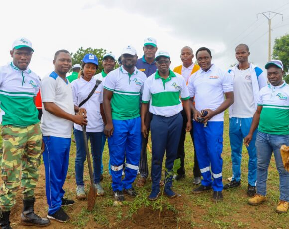 L&rsquo;APRN et la SONABEL Plantent Plus de 770 Arbres à Koudougou