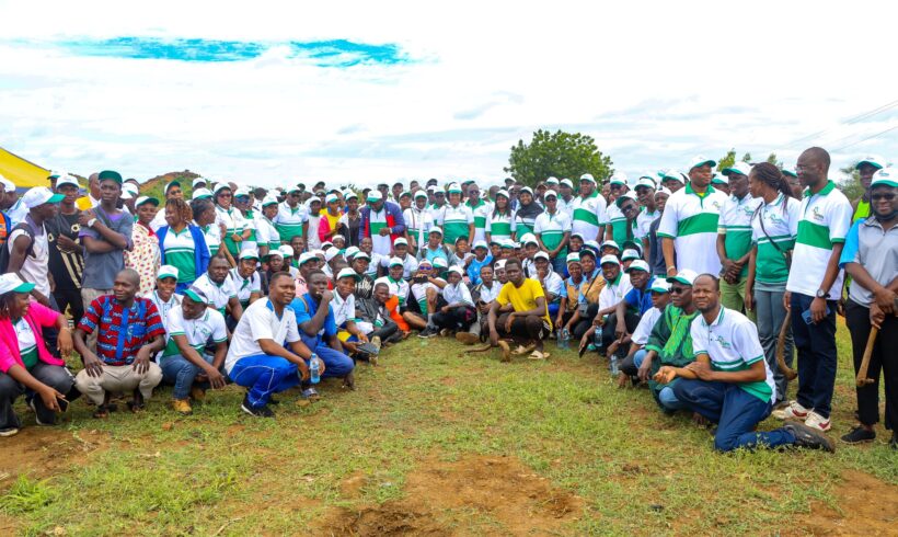 L&rsquo;APRN et la SONABEL Plantent Plus de 770 Arbres à Koudougou